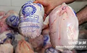 قیمت مرغ کامل رکورد زد| بحران نهاده و انحصار بازار را به لب مرز انفجار رساند