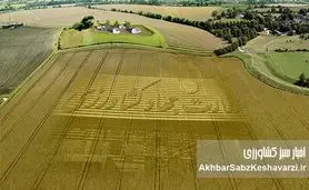 ماست‌مالیزاسیون در سیاست؛ پشت پرده زدوبندهایی که سرنوشت امنیت غذایی را گروگان گرفته است
