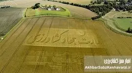 ماست‌مالیزاسیون در سیاست؛ پشت پرده زدوبندهایی که سرنوشت امنیت غذایی را گروگان گرفته است