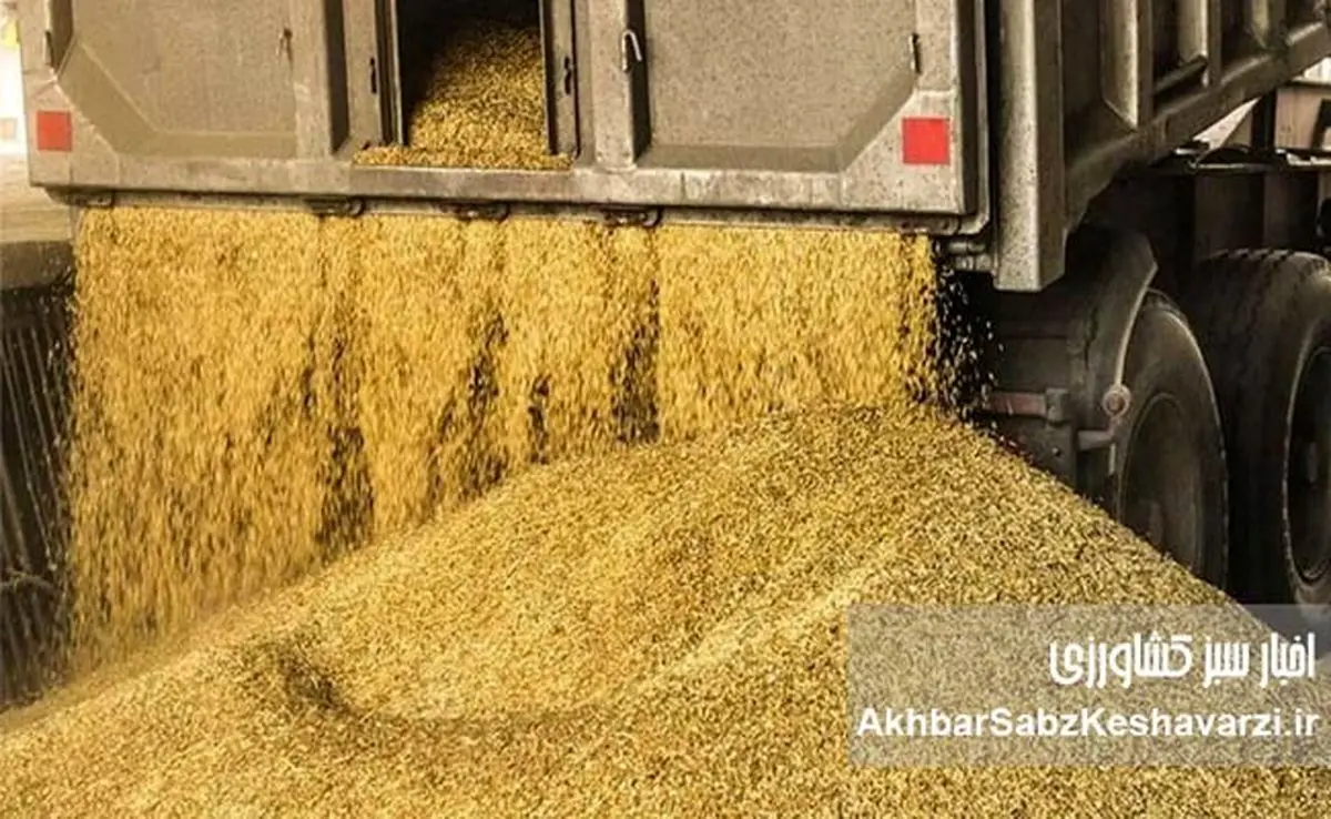 بالاخره نهادهها به دست مرغداران و دامداران رسید