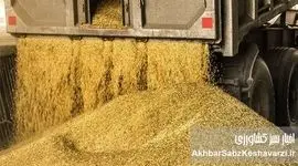 بالاخره نهاده‌ها به دست مرغداران و دامداران رسید