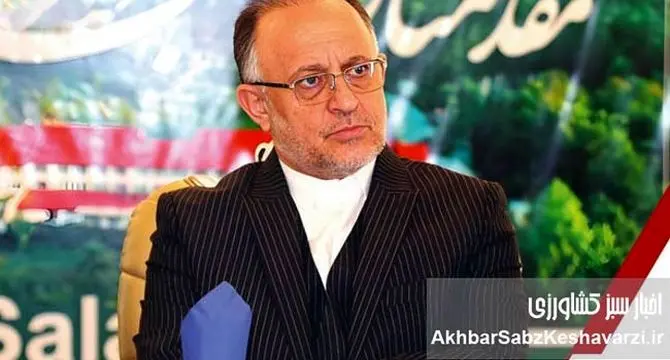 بازگشت پرقدرت صنعت چوب و کاغذ مازندران به ریل اصلی تولید