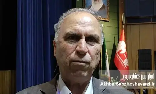 همایش‌های بی‌برونداد؛ وقتی صندلی تولیدکننده خالی است