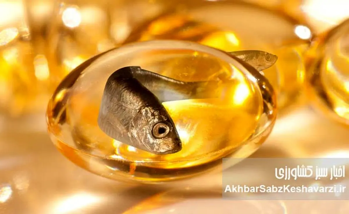 راز طول عمر ژاپنی‌ها فاش شد: فواید شگفت‌انگیز زردچوبه و روغن ماهی