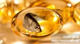 راز طول عمر ژاپنی‌ها فاش شد: فواید شگفت‌انگیز زردچوبه و روغن ماهی