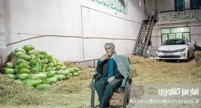 جنجال «آلودگی هندوانه ایرانی» و پشت پرده یک ویدئو!