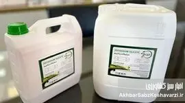 کیمیای سبز رفسنجان، پیشگام در تولید کود سیلیکات پتاسیم 