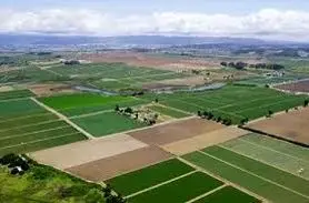 افزایش کشت محصولات زراعی در خوزستان به بیش از ۳۰۰ هزار هکتار


