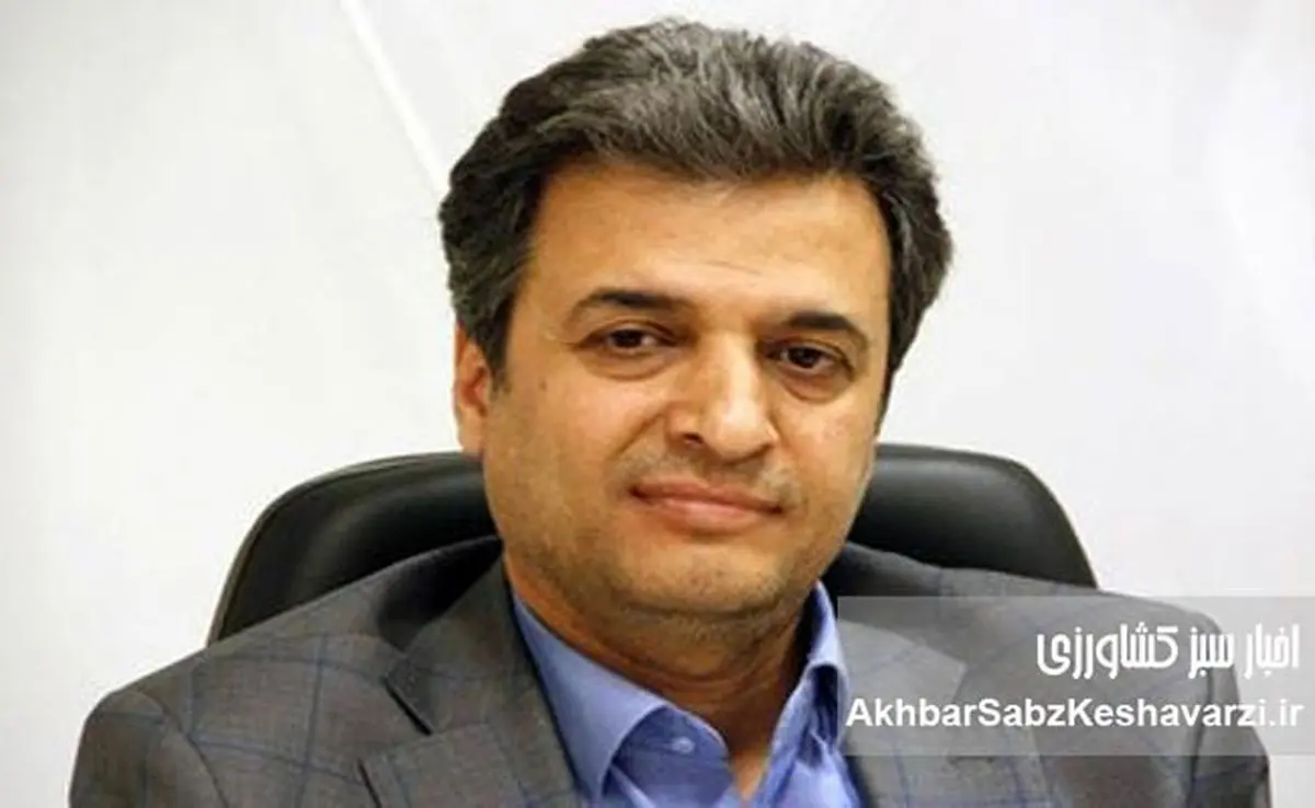 افزایش سرسام‌آور قیمت مواد غذایی و کاهش قدرت خرید در ایران؛ بررسی عوامل و راهکارهای سیاستی