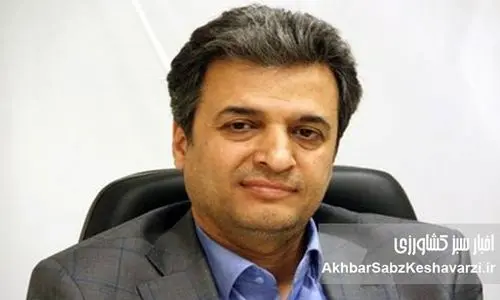 افزایش سرسام‌آور قیمت مواد غذایی و کاهش قدرت خرید در ایران؛ بررسی عوامل و راهکارهای سیاستی