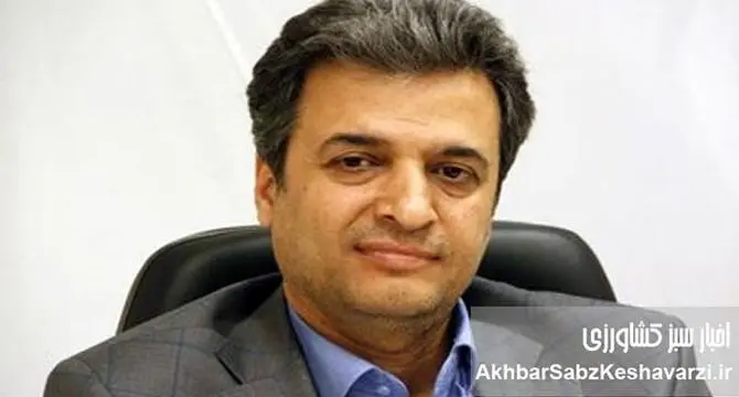 افزایش سرسام‌آور قیمت مواد غذایی و کاهش قدرت خرید در ایران؛ بررسی عوامل و راهکارهای سیاستی
