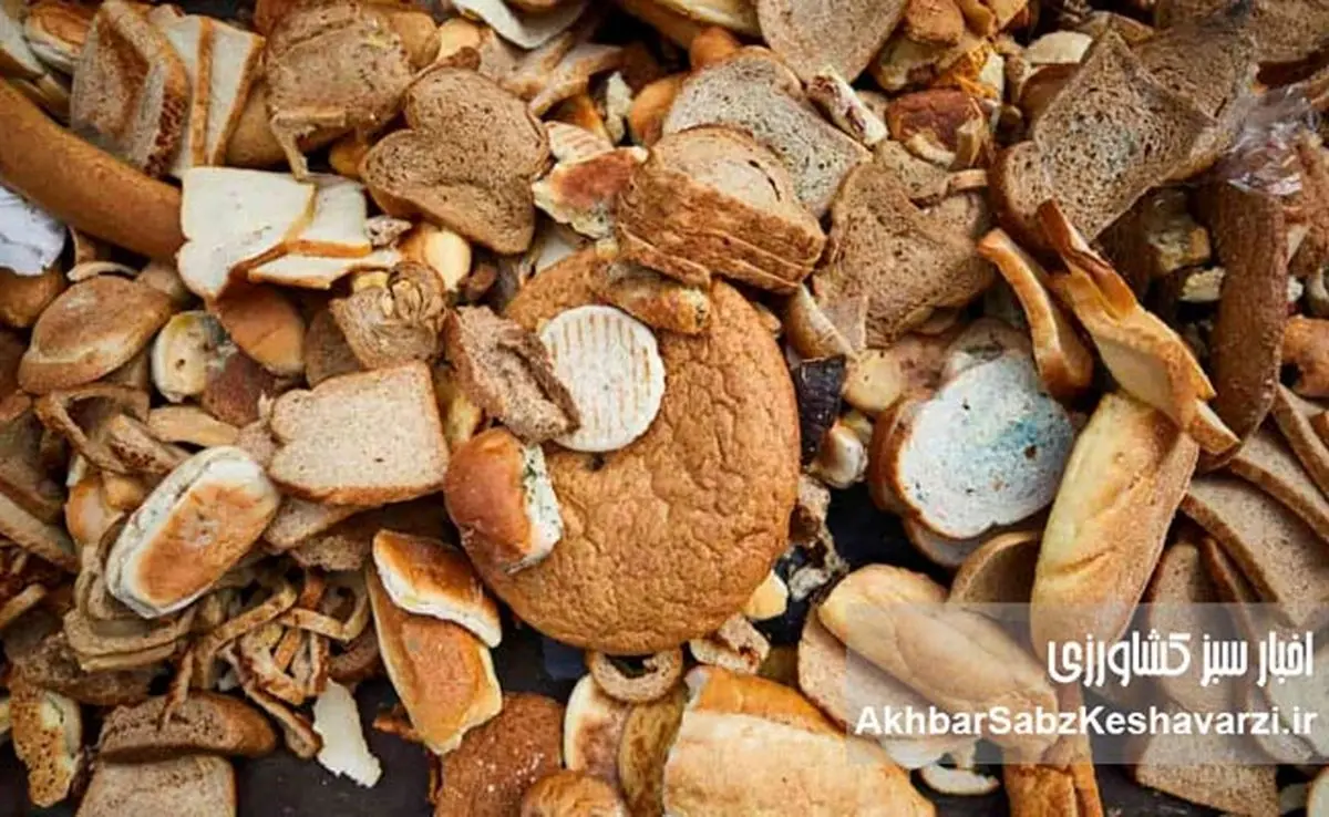 ۲۰ هزار میلیارد تومان خسارت ضایعات نان؛ جهاد کشاورزی ورود کند