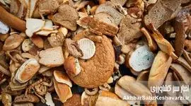 ۲۰ هزار میلیارد تومان خسارت ضایعات نان؛ جهاد کشاورزی ورود کند