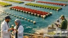 تولید پروتئین از جلبک؛ آیا مزارع جلبک در سواحل مکران می‌توانند جایگزین صید ماهی شوند؟