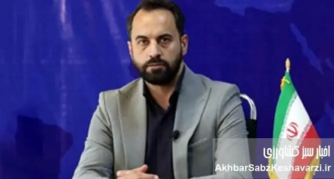 دلالی سازمان‌یافته، بلای جان کشاورزان برنج و مرکبات مازندران