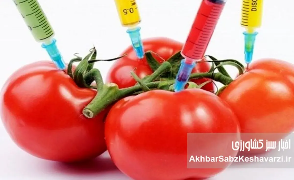 تراریخته‌ها و ترس ایرانی‌ها؛ وقتی نگرانی سلامت بر تصمیم خرید غلبه می‌کند