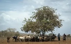 پروژه جهانی متان هاب
