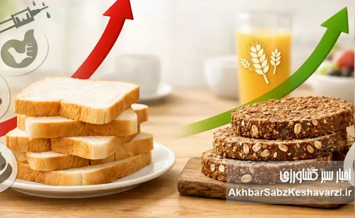 صبحانه‌ای که قند خون را منفجر می‌کند؛ نان سفید را کنار بگذارید