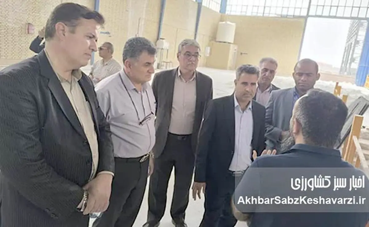 بازدید مهم از کیمیای سبز رفسنجان: آیا آینده کودهای ایران متحول میشود؟