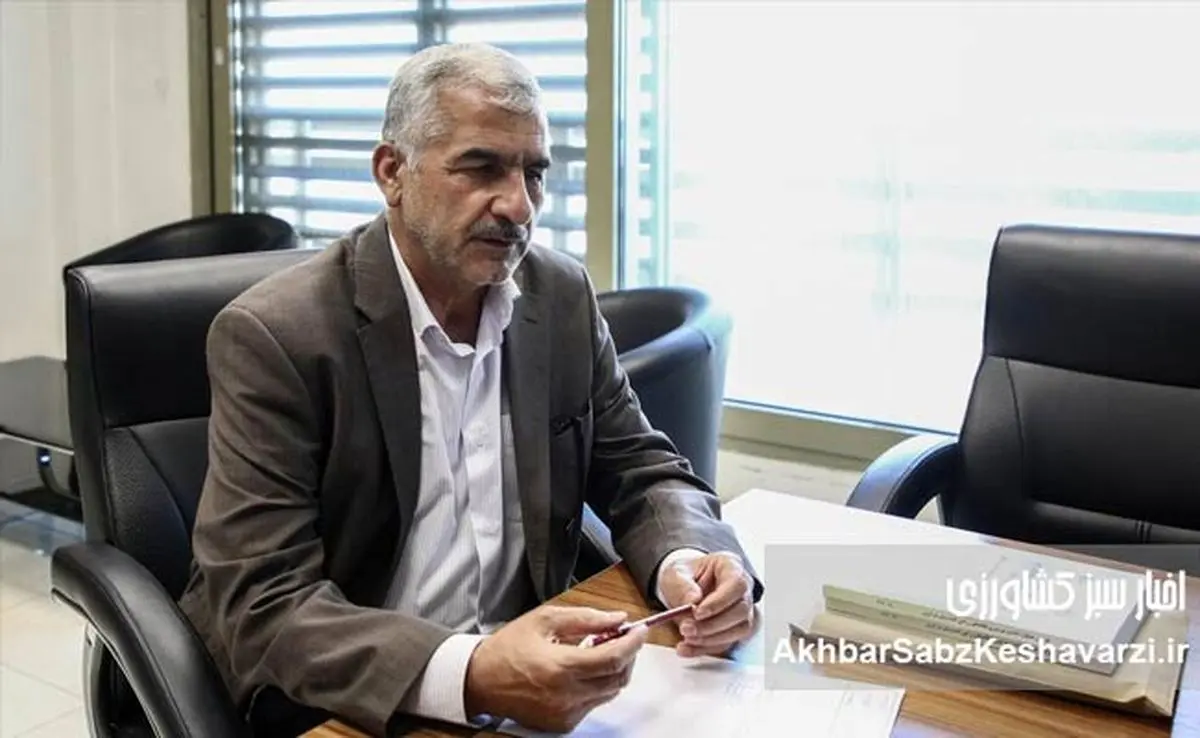 تأخیر در اعلام قیمت گندم به سود کشاورزان است