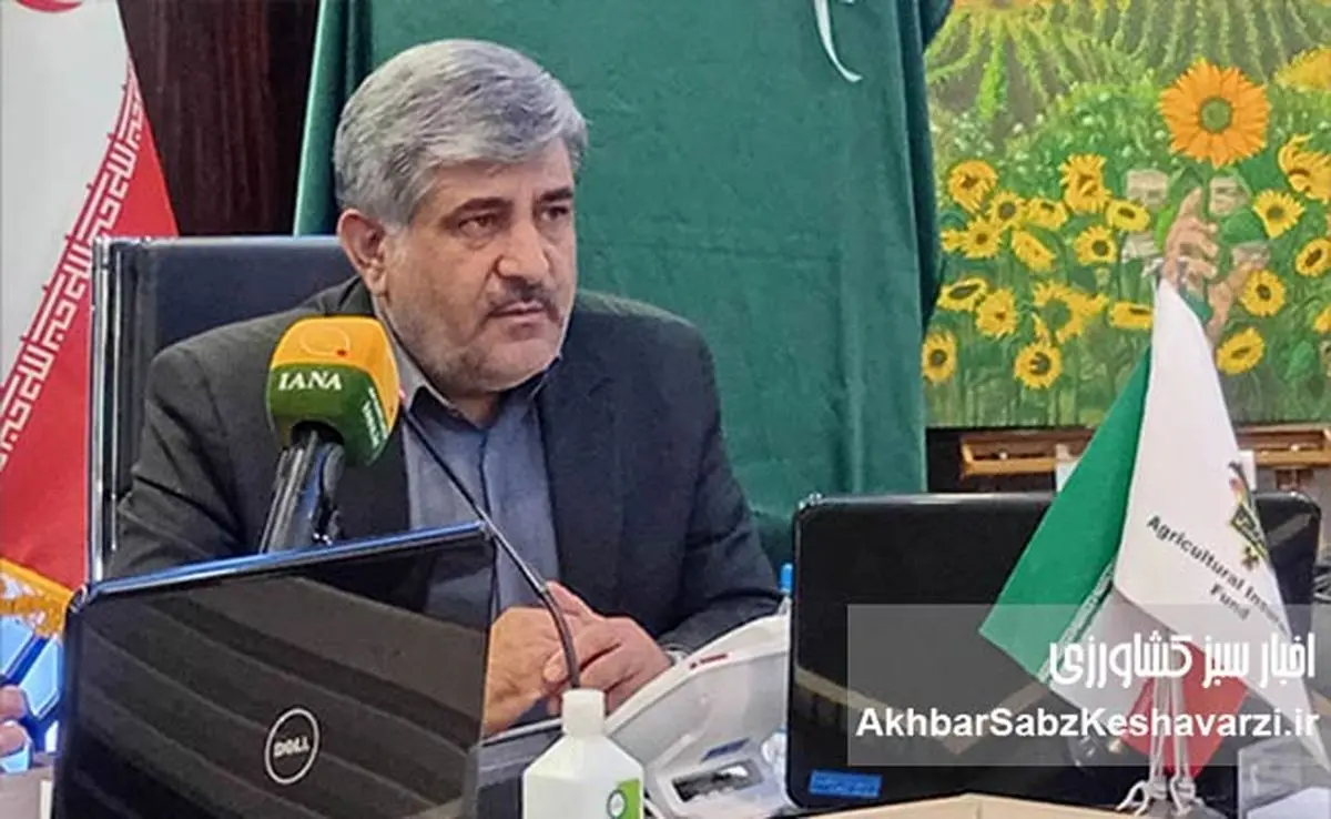 مهندس اوسطی: طرح بیمه فراگیر گندم نقطه آغاز تحول بزرگ در کشاورزی