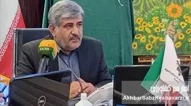 مهندس اوسطی: طرح بیمه فراگیر گندم نقطه آغاز تحول بزرگ در کشاورزی