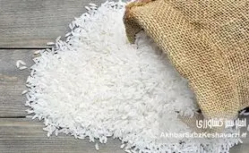 آیا برنج ارزان می‌شود یا فقط خبرش پخش می‌شود؟ بازار در گرو وعده‌های تکراری