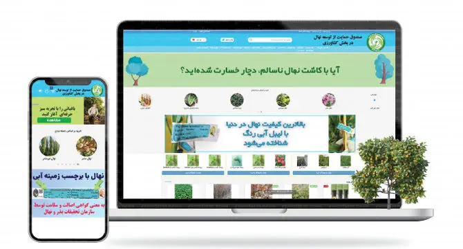 حمایت از تولید 2 میلیون اصله نهال گواهی‌شده براساس برنامه هفتم
