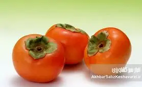 خرمالو؛ میوه‌ طلایی پاییز با خواص جادویی برای سلامتی و زیبایی