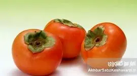 خرمالو؛ میوه‌ طلایی پاییز با خواص جادویی برای سلامتی و زیبایی