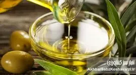 کسب مدال طلای جهانی؛ افتخاری ملی برای کیفیت روغن زیتون ایران