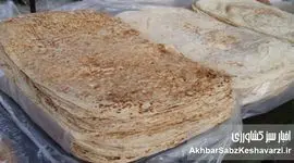 نان یارانه‌ای در آخور دام؛ چرا دامداران به جای جو و ذرت، نان می‌خرند؟