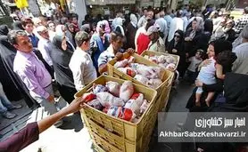 شفافیت، نظارت و کاهش هزینه تولید؛ راه برون رفت از گرانی مرغ