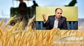 قیمت خرید تضمینی گندم: از ۲۱ هزار تومان دیروز تا ۲۰ هزار و 500 تومان امروز+ ویدئو