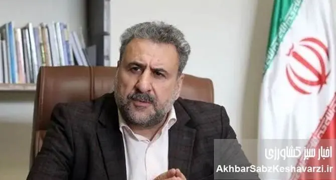 فلاحت‌پیشه: FATF می‌توانست جلوی فاجعه بانک آینده و سقوط ارزش پول ملی را بگیرد