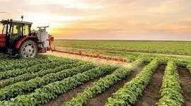 اولویت استانداردسازی محصولات کشاورزی صادرات محور

