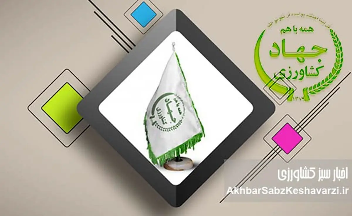 تا آن زمان که پرده در افتد چهها کنند؟ افشای فساد و رانت در وزارتخانه