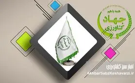 تا آن زمان که پرده در افتد چه‌ها کنند؟ افشای فساد و رانت در وزارتخانه