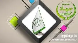 تا آن زمان که پرده در افتد چه‌ها کنند؟ افشای فساد و رانت در وزارتخانه