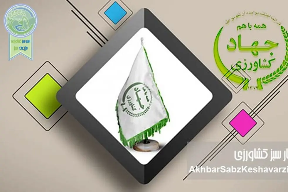 تا آن زمان که پرده در افتد چه‌ها کنند؟ افشای فساد و رانت در وزارتخانه