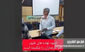 فریاد کشاورزان از گرانی نهاده و کمبود ذرت؛ بحران خاموش در انبارهای کشور+ ویدئو