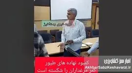 فریاد کشاورزان از گرانی نهاده و کمبود ذرت؛ بحران خاموش در انبارهای کشور+ ویدئو