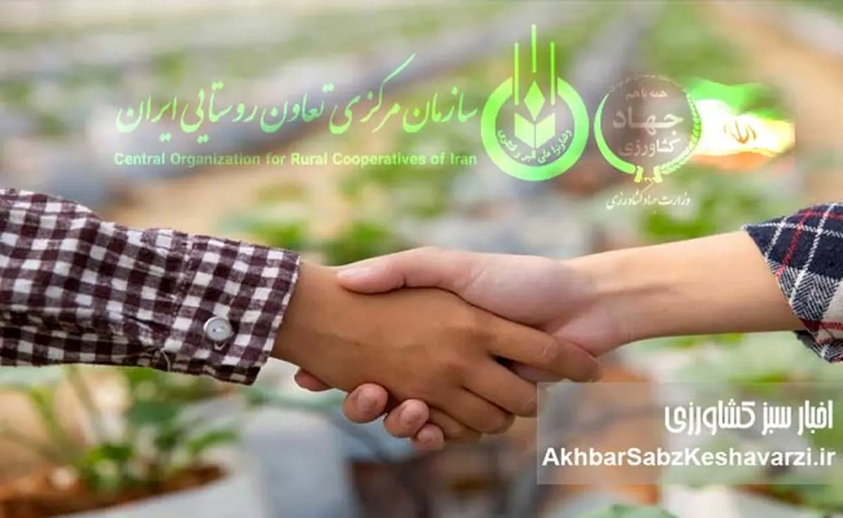 شرکت‌های تعاونی کشاورزی؛ موتور محرک رونق و پایداری در کشاورزی نوین
