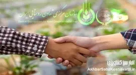 شرکت‌های تعاونی کشاورزی؛ موتور محرک رونق و پایداری در کشاورزی نوین
