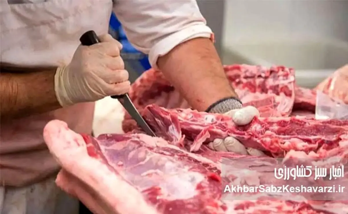 قیمت گوشت دوباره جهش کرد | افزایش ۴ باره در کمتر از یک هفته!