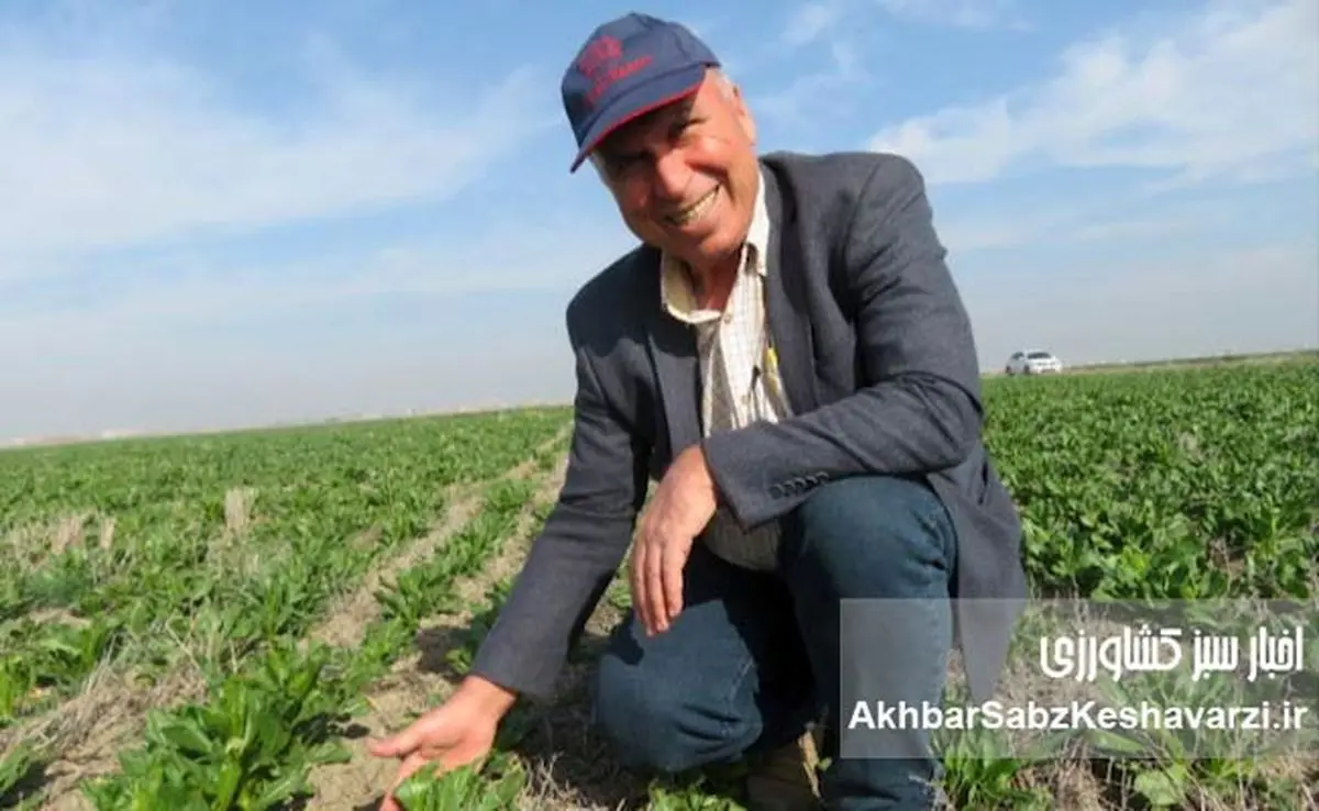 بهبود بهرهوری اراضی دیم ایران با استفاده از سامانه بیخاکورزی