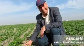 بهبود بهره‌وری اراضی دیم ایران با استفاده از سامانه بی‌خاک‌ورزی