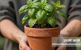 وقتی دست‌های خاکی، ذهن را پاک می‌کنند