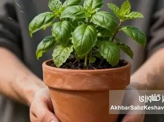 وقتی دست‌های خاکی، ذهن را پاک می‌کنند