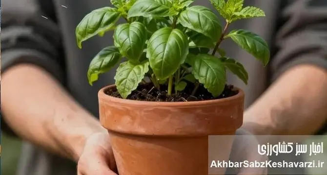 وقتی دست‌های خاکی، ذهن را پاک می‌کنند